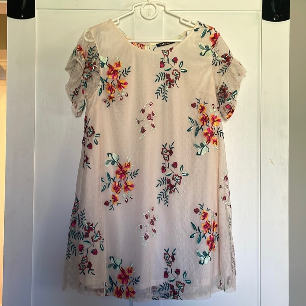 Bluheaven, size Large, dress with embroidery, sheer over lining